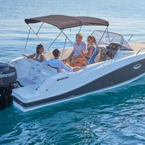 Quicksilver 675